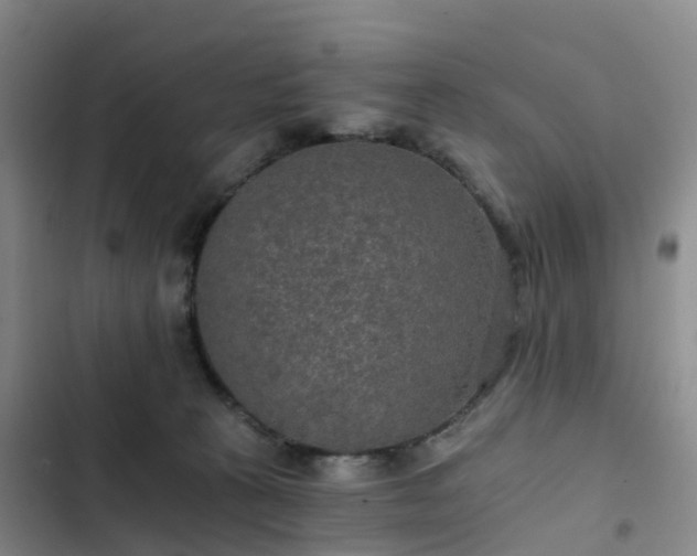 X0000102770273200808251059