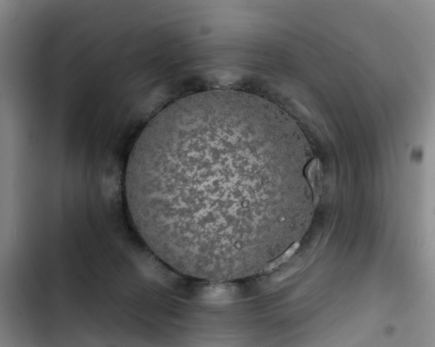 X0000102770274200808251059