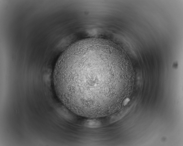 X0000102770275200808251059