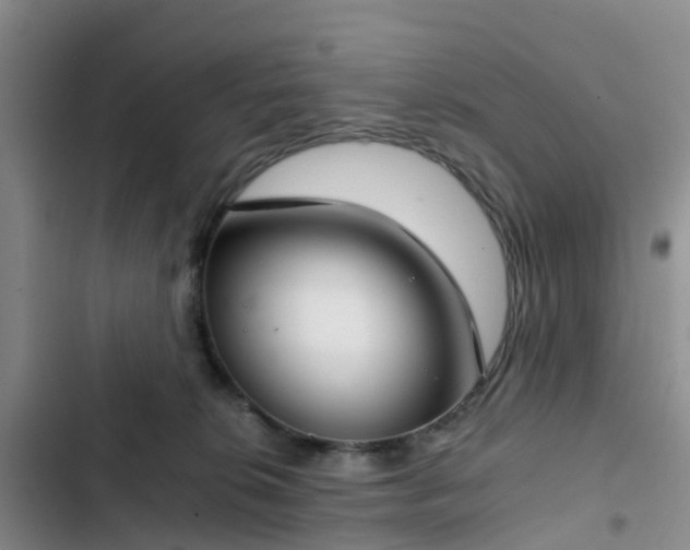 X0000102770276200808251059