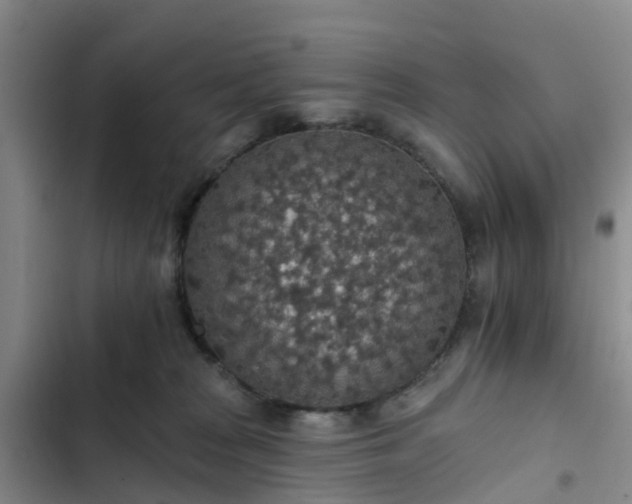 X0000102770277200808251059