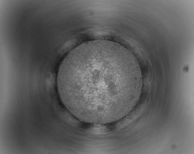 X0000102770278200808251059