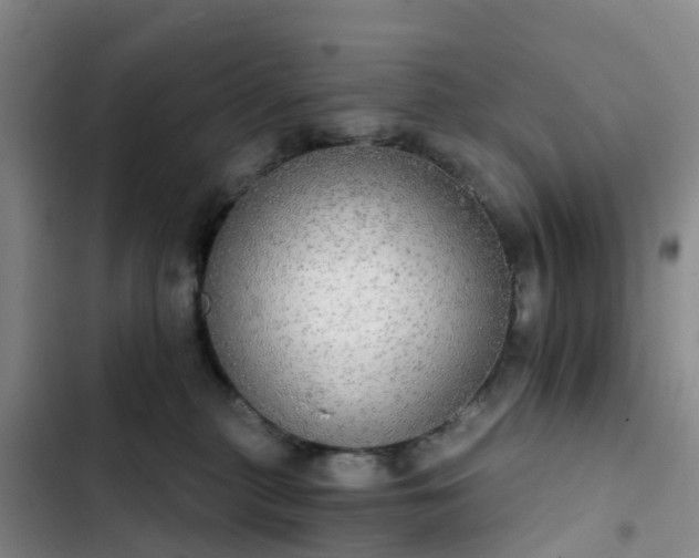 X0000102770279200808251059