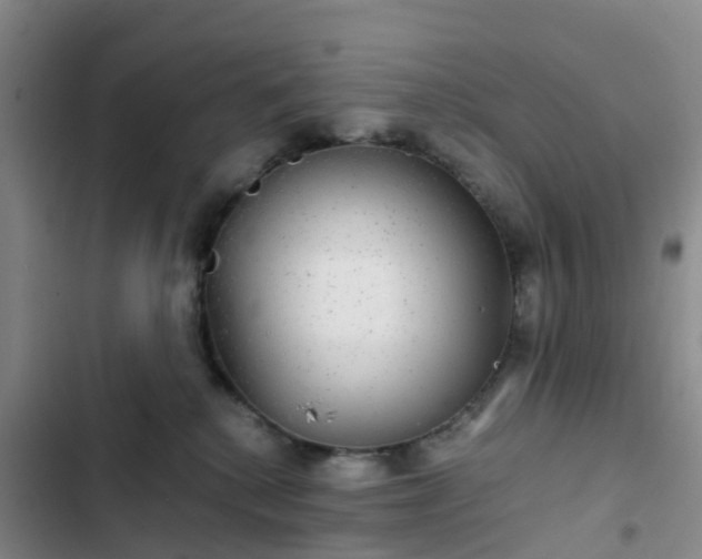 X0000102770280200808251059