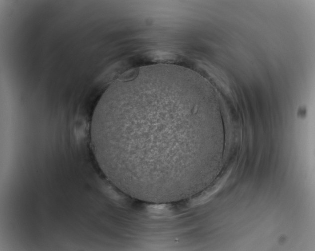 X0000102770281200808251059