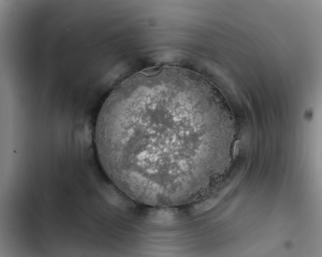 X0000102770282200808251059