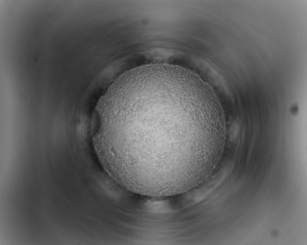 X0000102770283200808251059