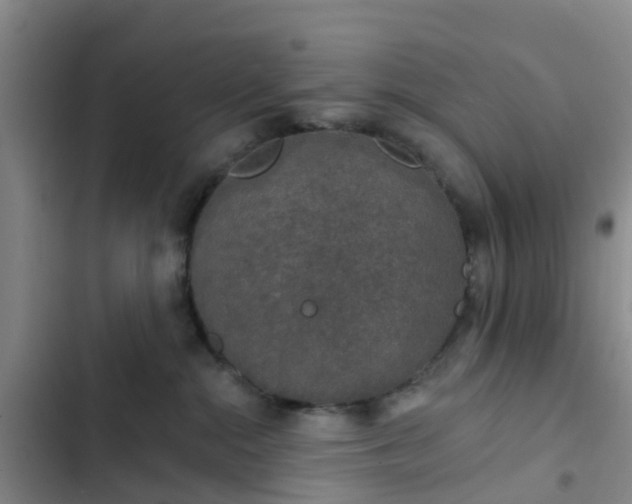 X0000102770284200808251059