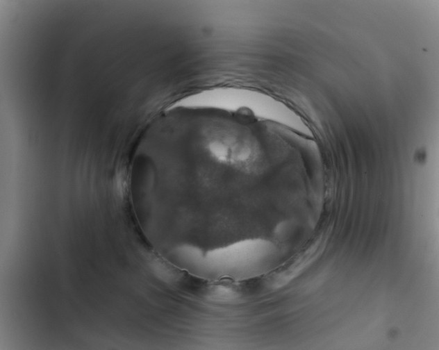 X0000102770285200808251059