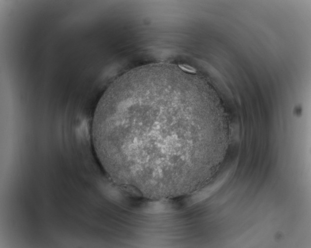 X0000102770286200808251059