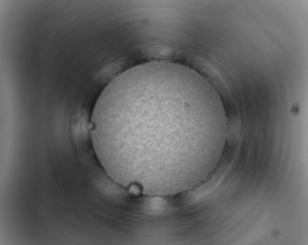 X0000102770287200808251059