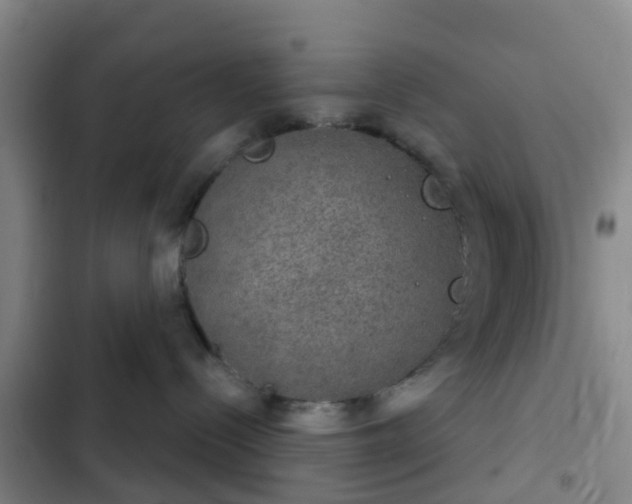 X0000102770288200808251059