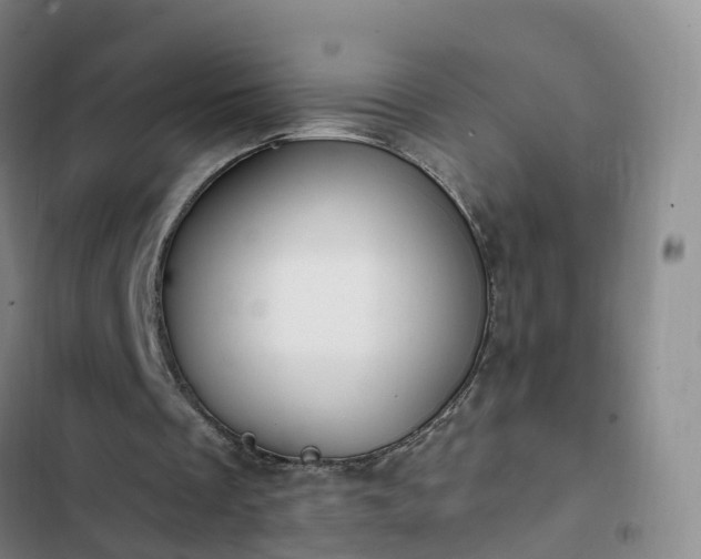 X0000102770289200808251059