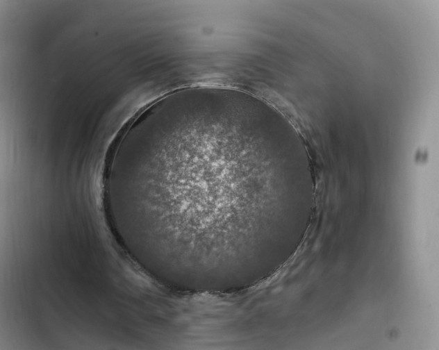 X0000102770290200808251059