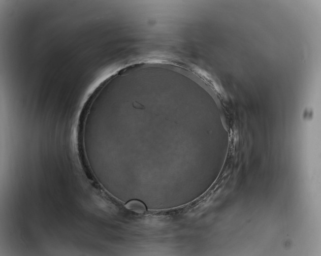 X0000102770292200808251059