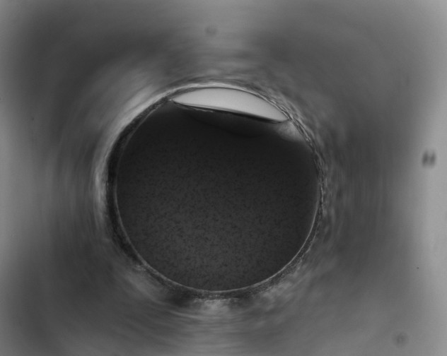 X0000102770295200808251059