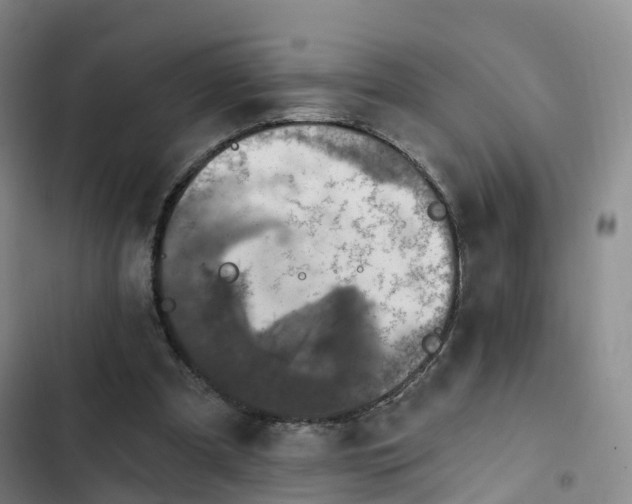 X0000102770297200808251059