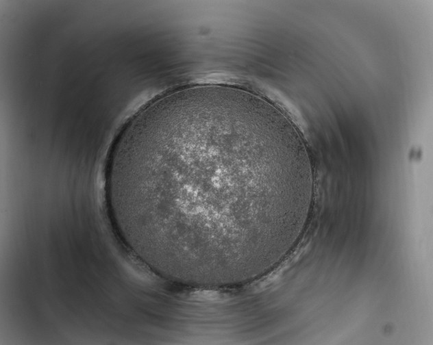 X0000102770298200808251058