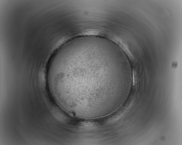 X0000102770300200808251058