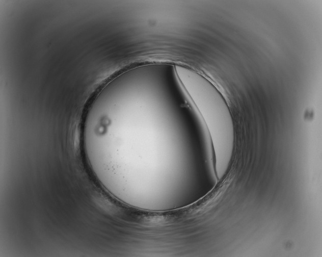 X0000102770301200808251058