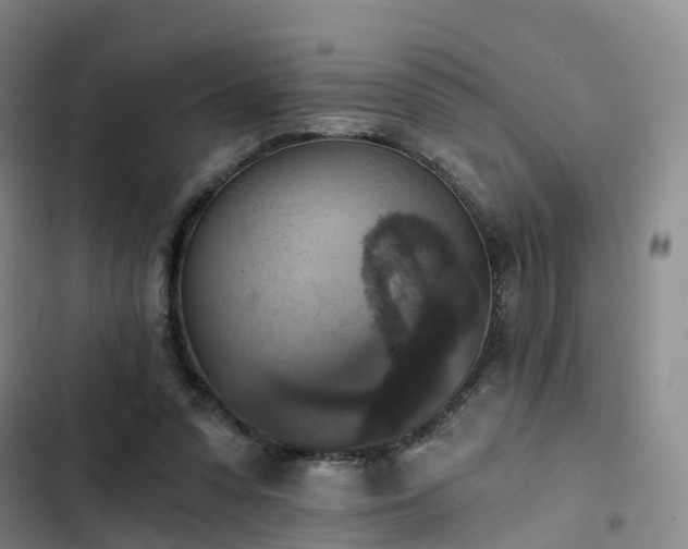 X0000102770303200808251058