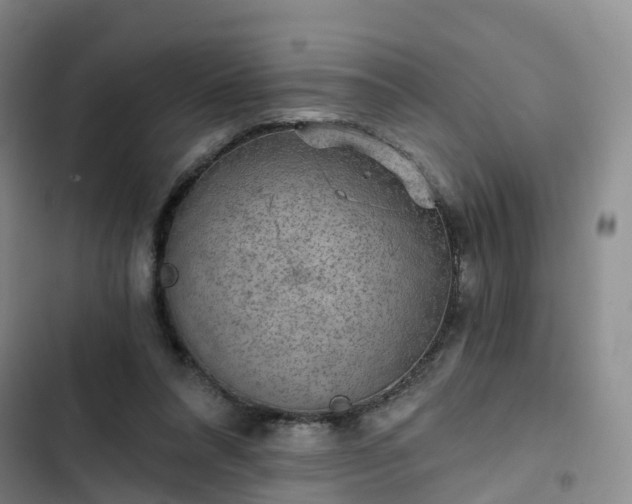 X0000102770304200808251058