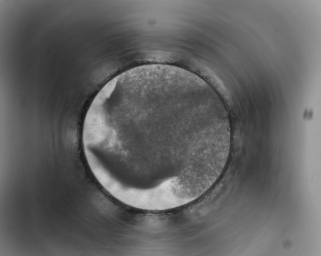 X0000102770305200808251058