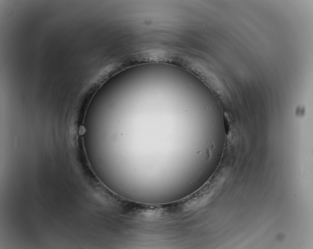 X0000102770306200808251058