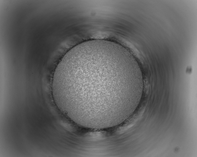 X0000102770307200808251058