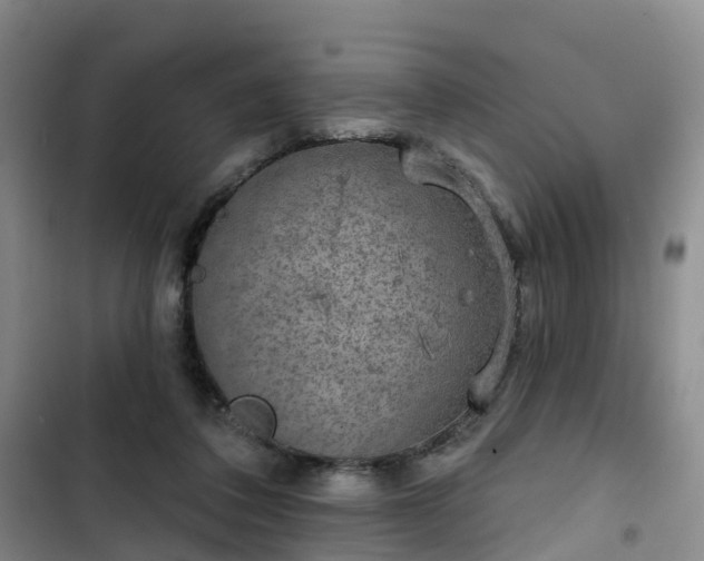 X0000102770308200808251058