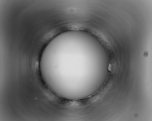 X0000102770310200808251058