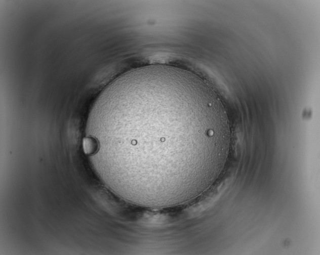 X0000102770311200808251058