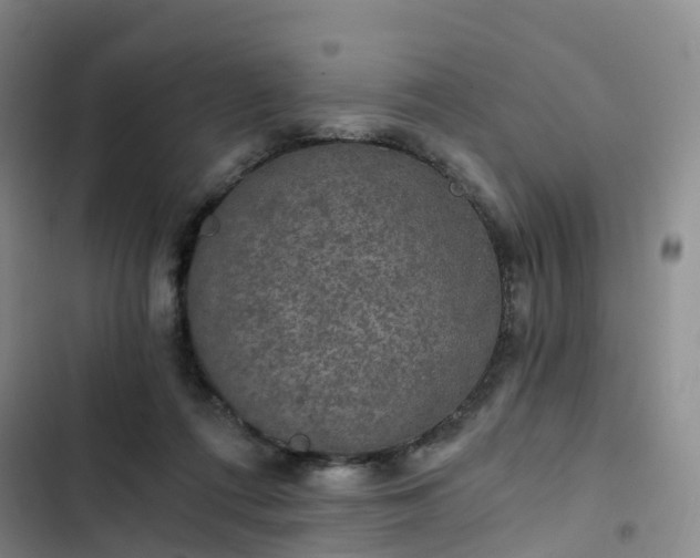 X0000102770312200808251058