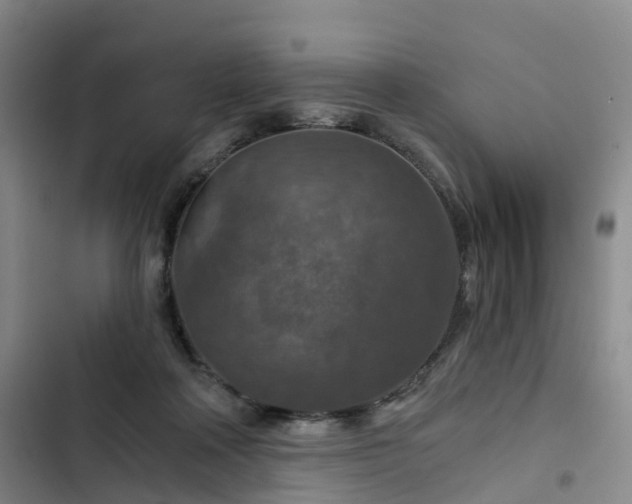 X0000102770314200808251058