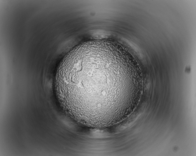 X0000102770315200808251058