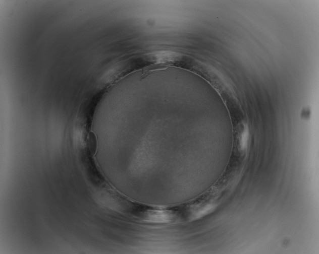 X0000102770316200808251058