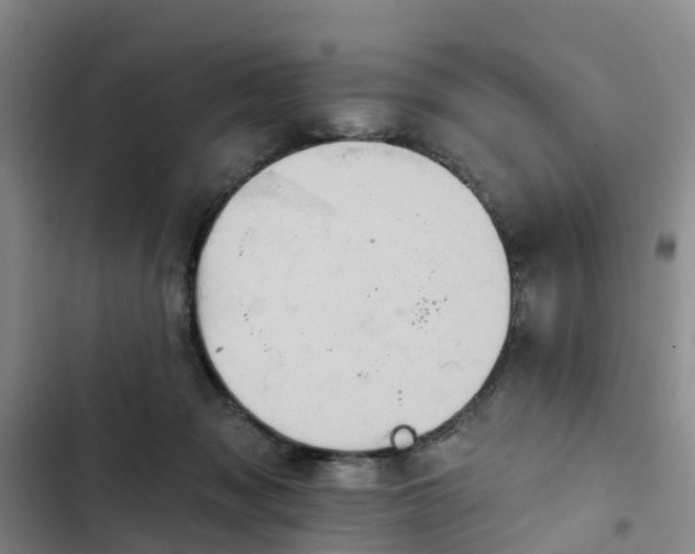 X0000102770317200808251058