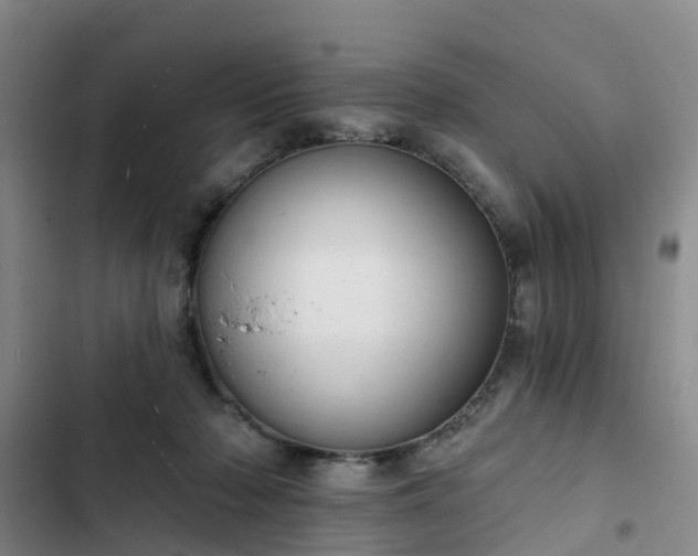 X0000102770318200808251058