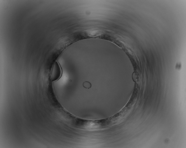 X0000102770319200808251058