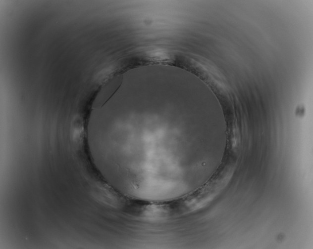 X0000102770320200808251058