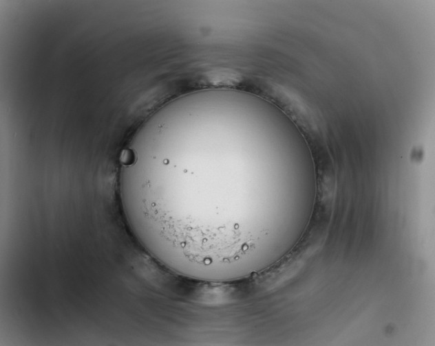 X0000102770321200808251058