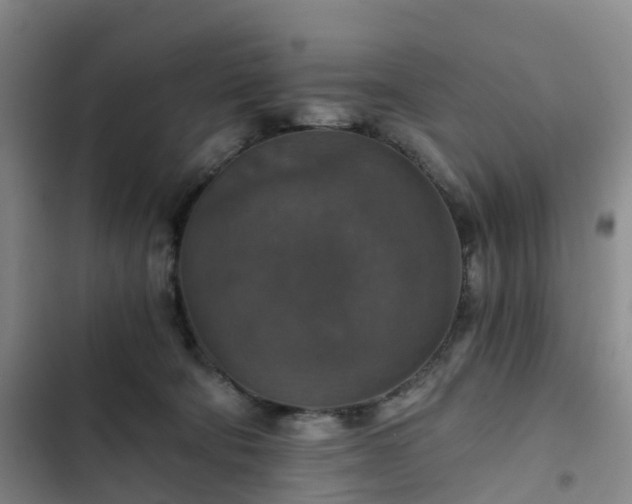 X0000102770322200808251058