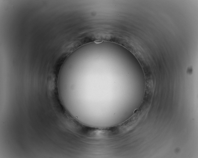 X0000102770323200808251058