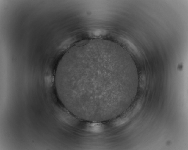 X0000102770324200808251058