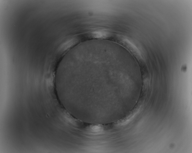 X0000102770325200808251058