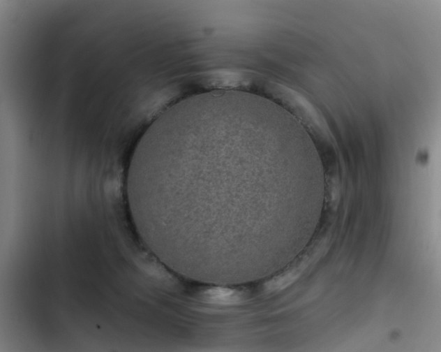 X0000102770326200808251058