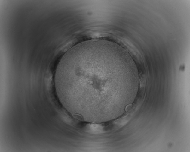 X0000102770327200808251058