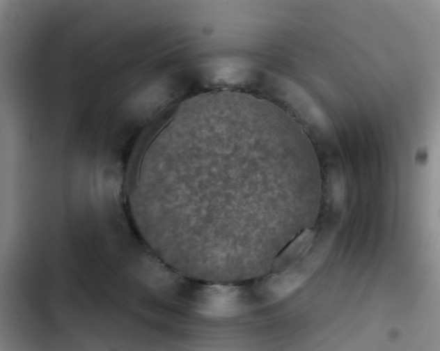 X0000102770328200808251058