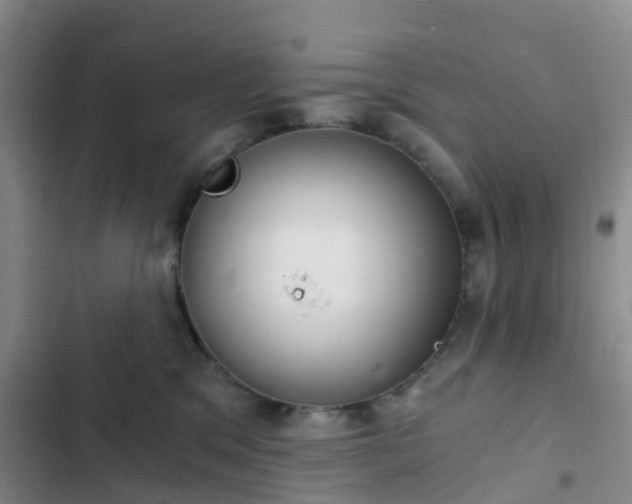 X0000102770329200808251058