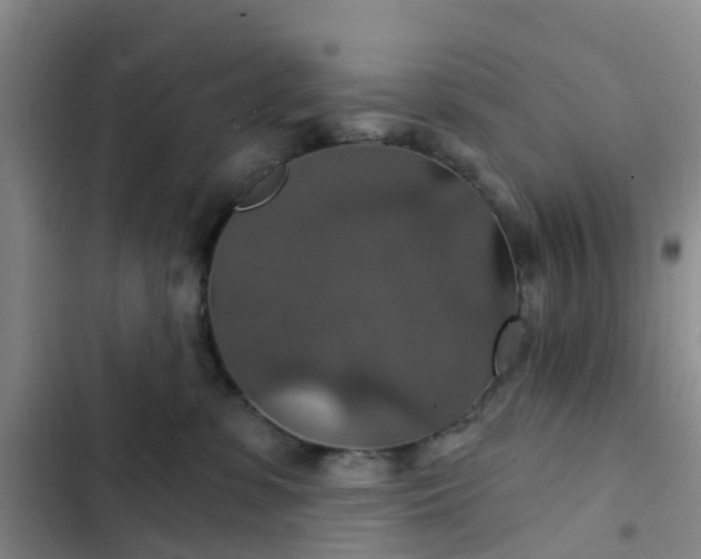 X0000102770331200808251058